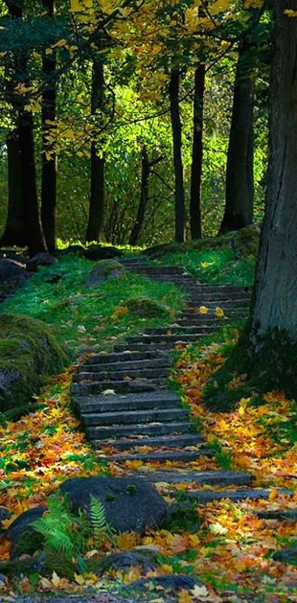 标签: 学术之路